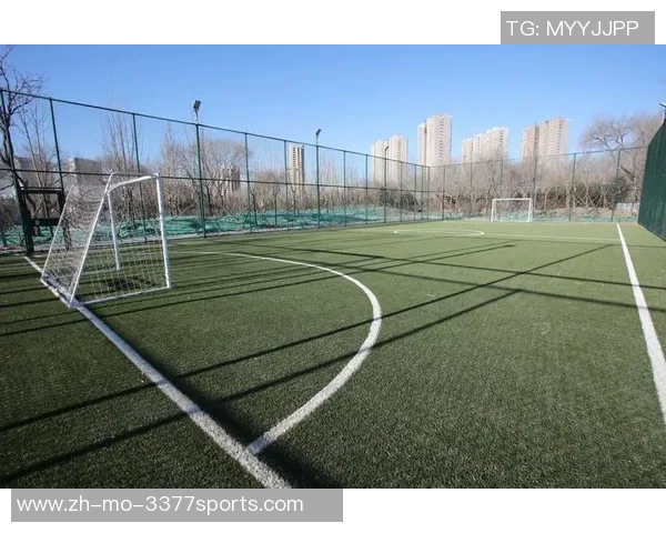 方庄体育公园足球场地提升计划助力青少年足球发展与社区活动融合